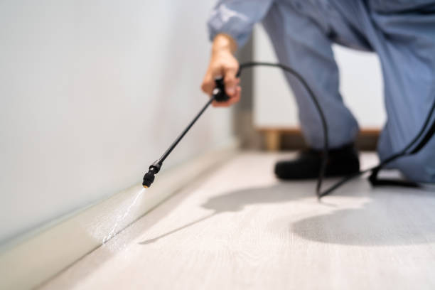 Licensed Fumigation Services service in County Center, VA - Nex Pest Control