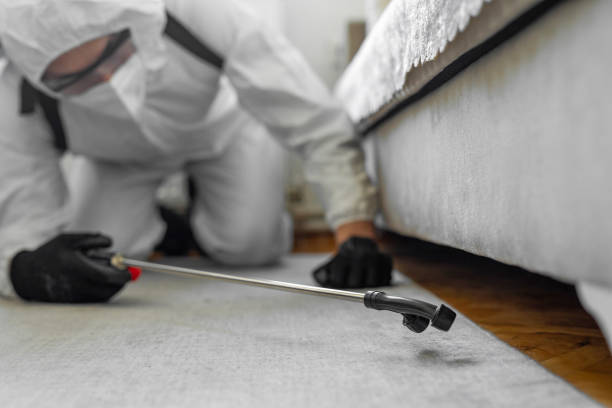 Professional Fumigation Services technician working in County Center, VA