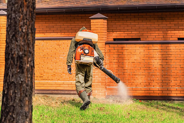 Trusted Bed Bug Control service in County Center, VA - Nex Pest Control